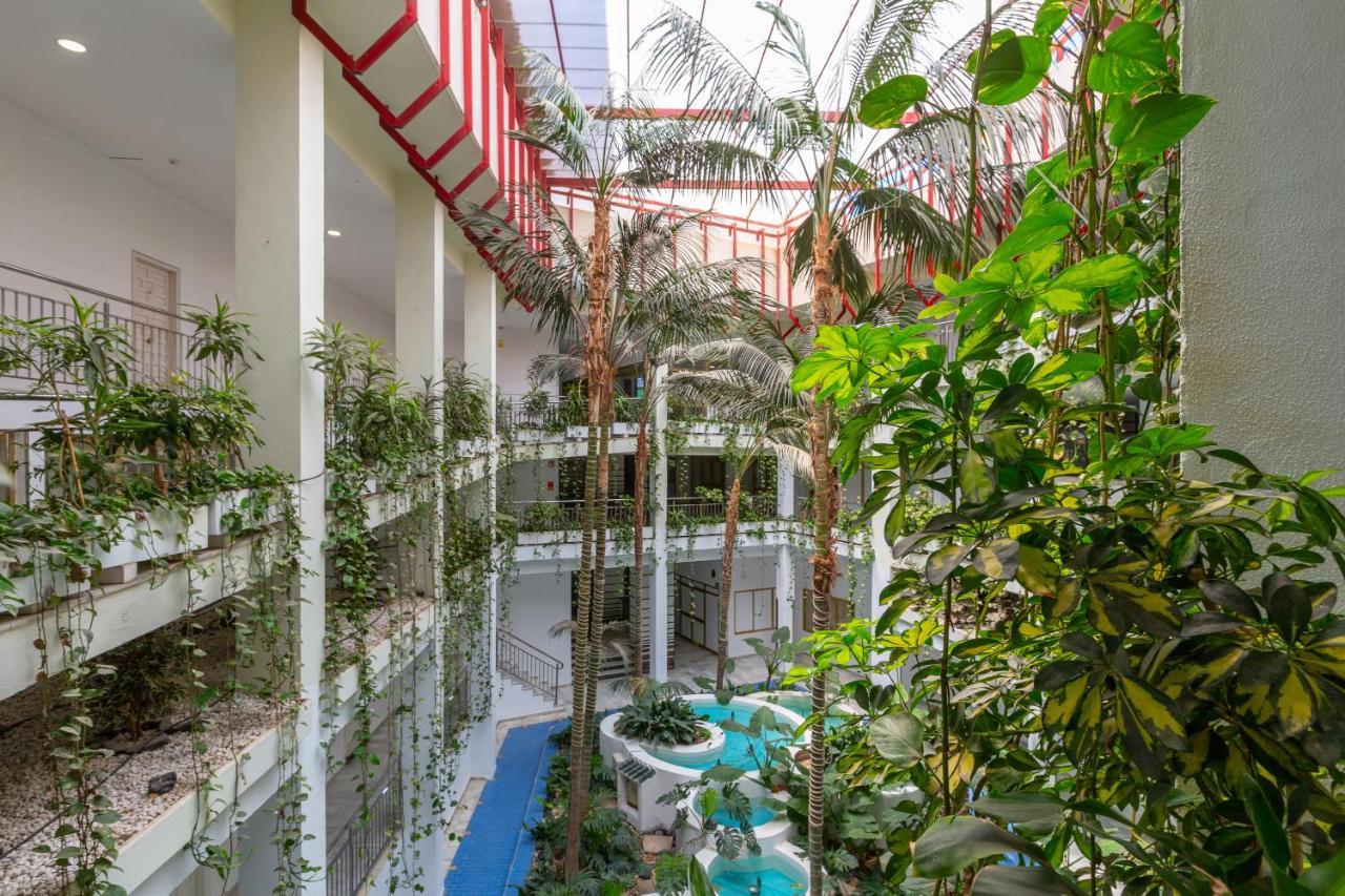 Apartamento Con Vistas Al Mar 贝纳尔马德纳 外观 照片